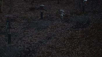 Weather camera view of Cincinnati Nature Center.