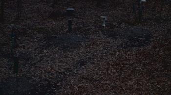 Weather camera view of Cincinnati Nature Center.