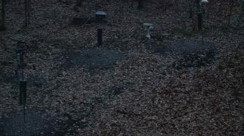 Weather camera view of Cincinnati Nature Center.