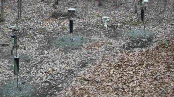 Weather camera view of Cincinnati Nature Center.
