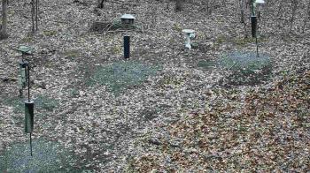 Weather camera view of Cincinnati Nature Center.