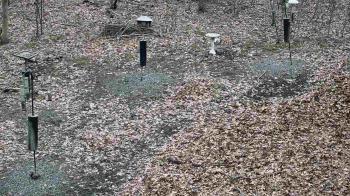 Weather camera view of Cincinnati Nature Center.