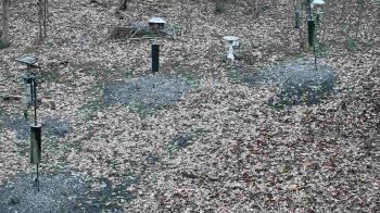 Weather camera view of Cincinnati Nature Center.