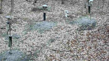Weather camera view of Cincinnati Nature Center.