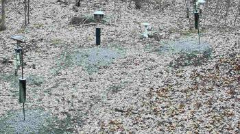 Weather camera view of Cincinnati Nature Center.