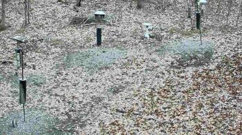 Weather camera view of Cincinnati Nature Center.