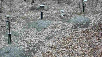 Weather camera view of Cincinnati Nature Center.