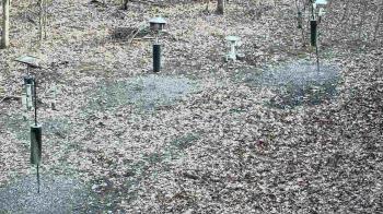 Weather camera view of Cincinnati Nature Center.