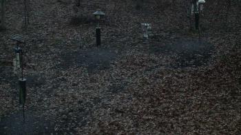 Weather camera view of Cincinnati Nature Center.
