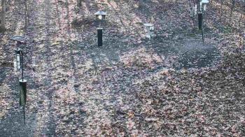 Weather camera view of Cincinnati Nature Center.