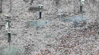 Weather camera view of Cincinnati Nature Center.