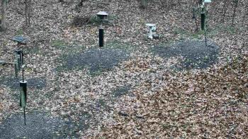 Weather camera view of Cincinnati Nature Center.