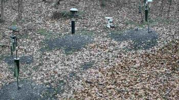 Weather camera view of Cincinnati Nature Center.