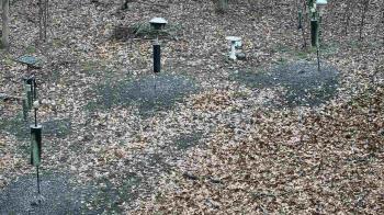 Weather camera view of Cincinnati Nature Center.