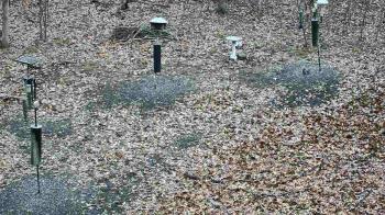 Weather camera view of Cincinnati Nature Center.