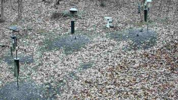 Weather camera view of Cincinnati Nature Center.