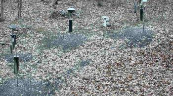 Weather camera view of Cincinnati Nature Center.