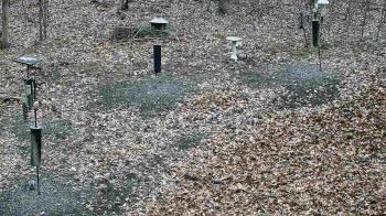 Weather camera view of Cincinnati Nature Center.