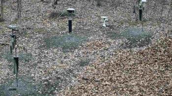 Weather camera view of Cincinnati Nature Center.