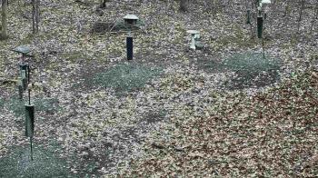 Weather camera view of Cincinnati Nature Center.