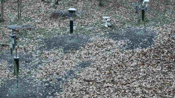 Weather camera view of Cincinnati Nature Center.