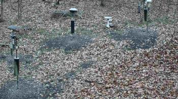 Weather camera view of Cincinnati Nature Center.