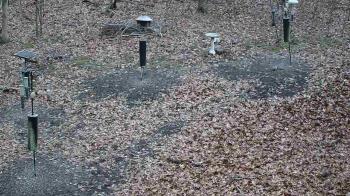 Weather camera view of Cincinnati Nature Center.