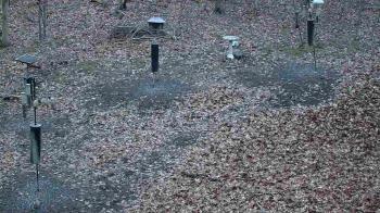 Weather camera view of Cincinnati Nature Center.