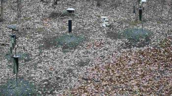 Weather camera view of Cincinnati Nature Center.