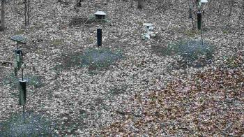 Weather camera view of Cincinnati Nature Center.