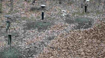 Weather camera view of Cincinnati Nature Center.