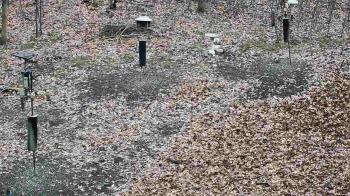 Weather camera view of Cincinnati Nature Center.