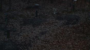 Weather camera view of Cincinnati Nature Center.
