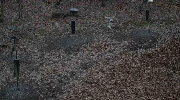 Weather camera view of Cincinnati Nature Center.