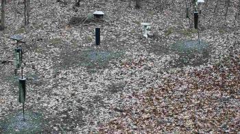 Weather camera view of Cincinnati Nature Center.