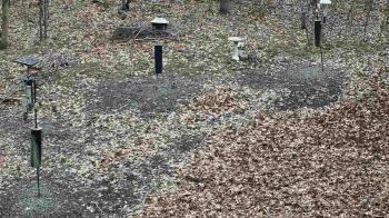 Weather camera view of Cincinnati Nature Center.