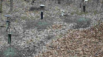 Weather camera view of Cincinnati Nature Center.