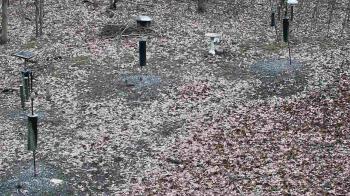 Weather camera view of Cincinnati Nature Center.