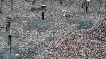 Weather camera view of Cincinnati Nature Center.