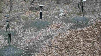 Weather camera view of Cincinnati Nature Center.