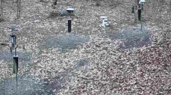 Weather camera view of Cincinnati Nature Center.