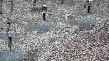 Weather camera view of Cincinnati Nature Center.