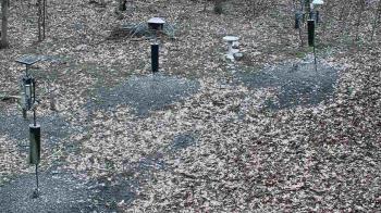 Weather camera view of Cincinnati Nature Center.