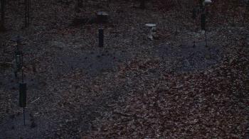 Weather camera view of Cincinnati Nature Center.