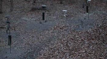 Weather camera view of Cincinnati Nature Center.