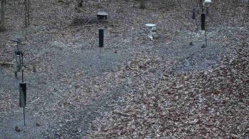Weather camera view of Cincinnati Nature Center.
