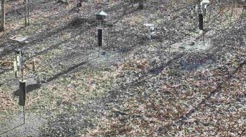 Weather camera view of Cincinnati Nature Center.
