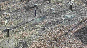 Weather camera view of Cincinnati Nature Center.