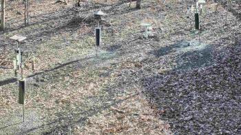 Weather camera view of Cincinnati Nature Center.