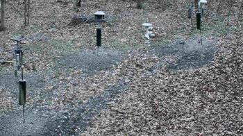 Weather camera view of Cincinnati Nature Center.